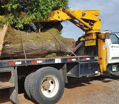 Log Transport