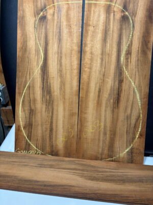Goncalo Alves guitar set