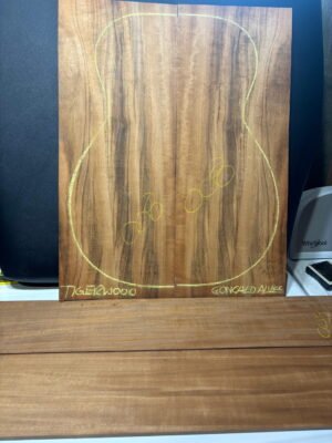 Goncalo Alves guitar set